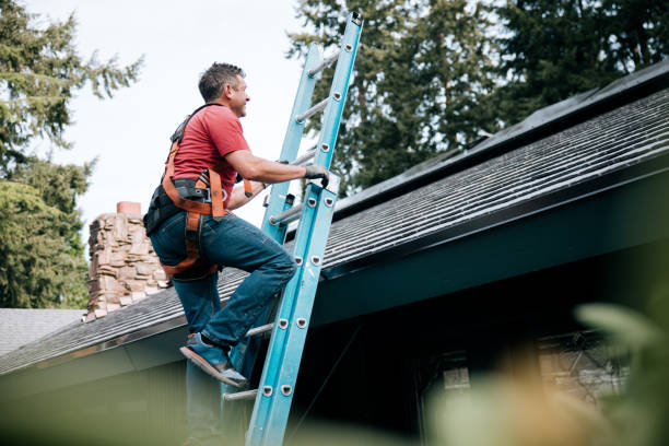 Best Roof Coating and Sealing  in Cortland, OH